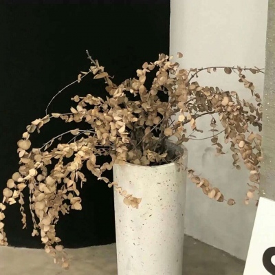 循化福瑞交流群